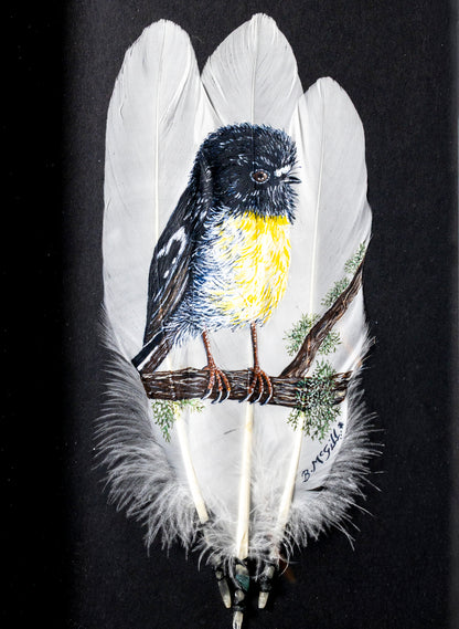 South Island Tomtit - Framed