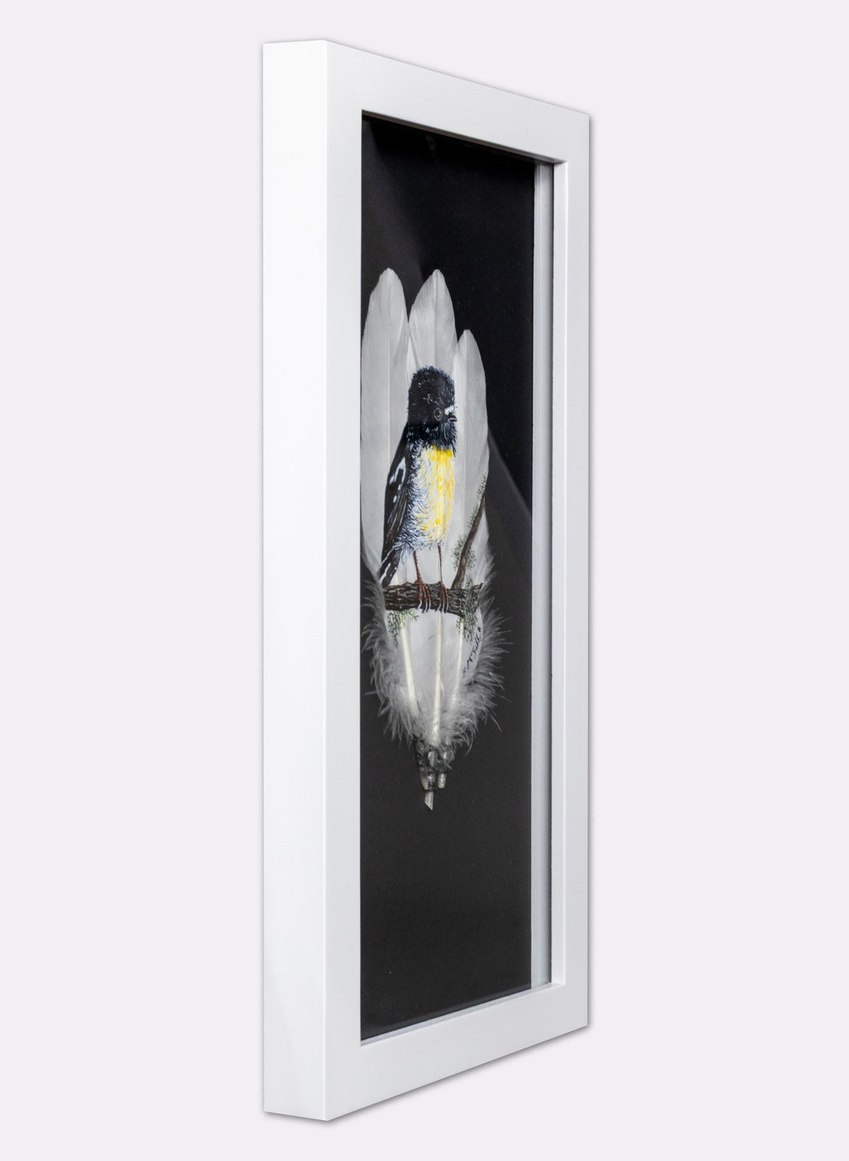 South Island Tomtit - Framed