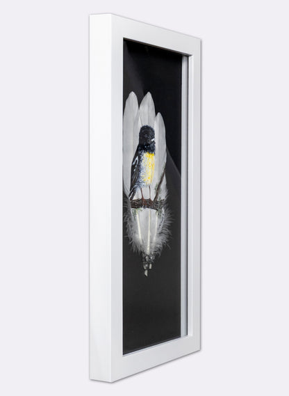 South Island Tomtit - Framed