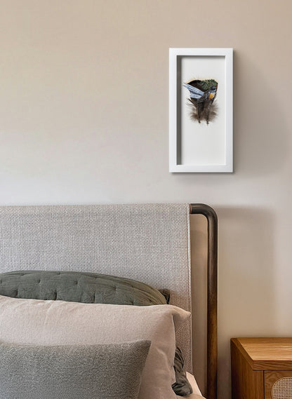 Fantail - Framed