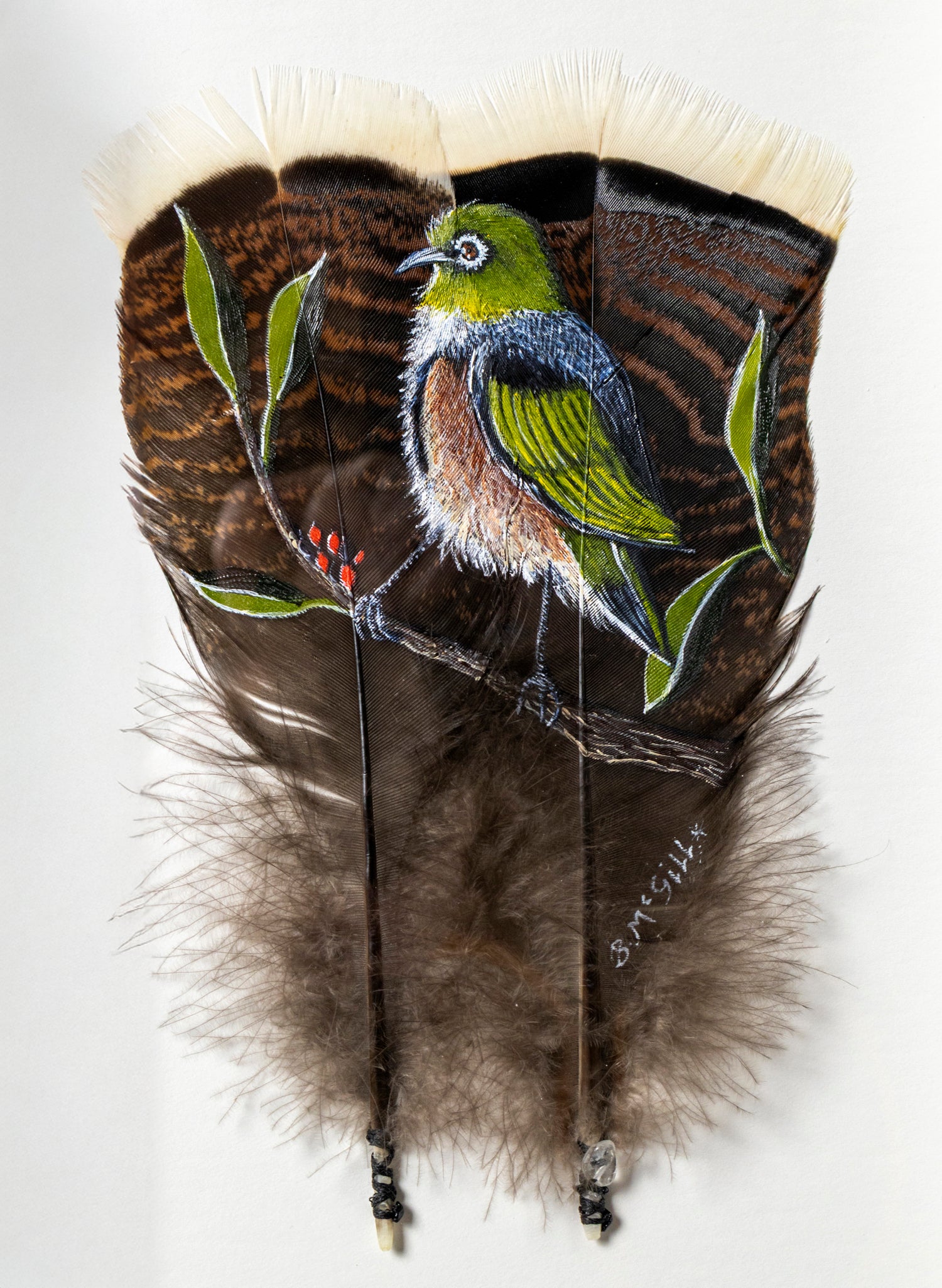 Waxeye - Tauhou - Framed
