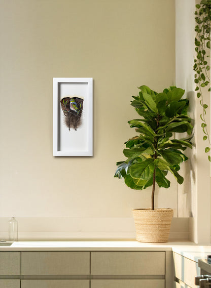 Waxeye - Tauhou - Framed