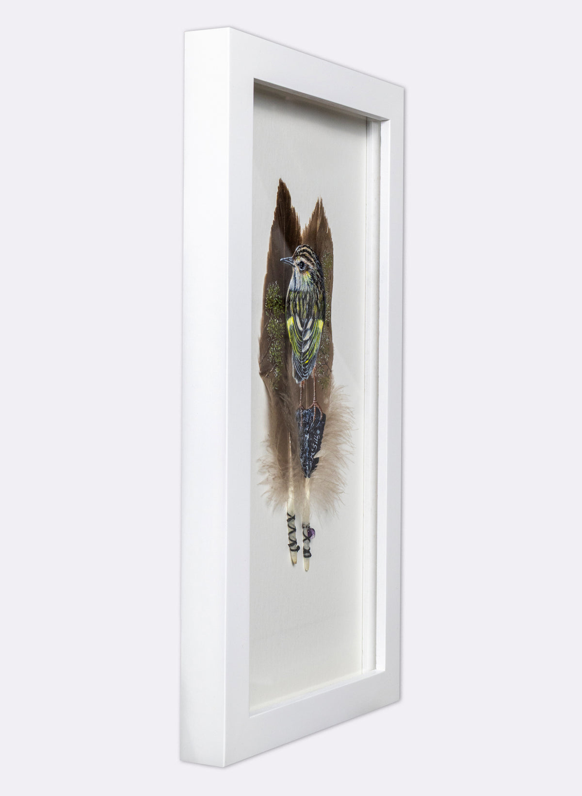 Rock Wren - Piwauwau - Framed