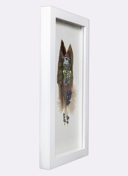 Rock Wren - Piwauwau - Framed