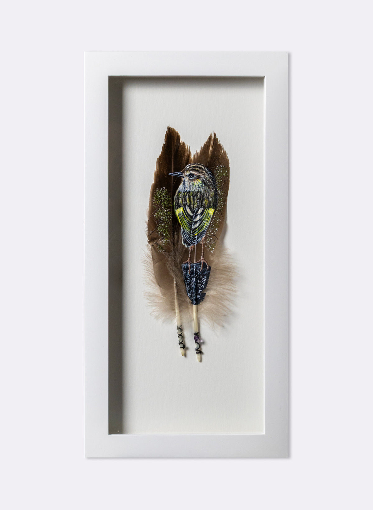 Rock Wren - Piwauwau - Framed