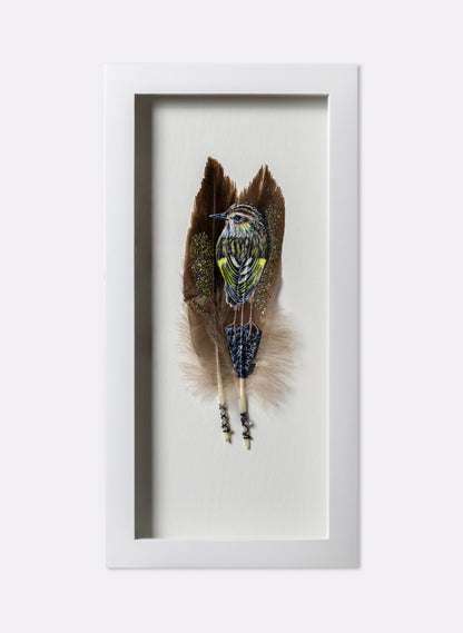 Rock Wren - Piwauwau - Framed