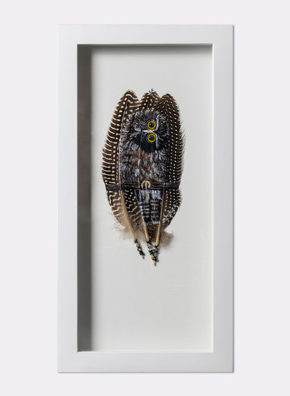 Qwizzick Morepork - Framed