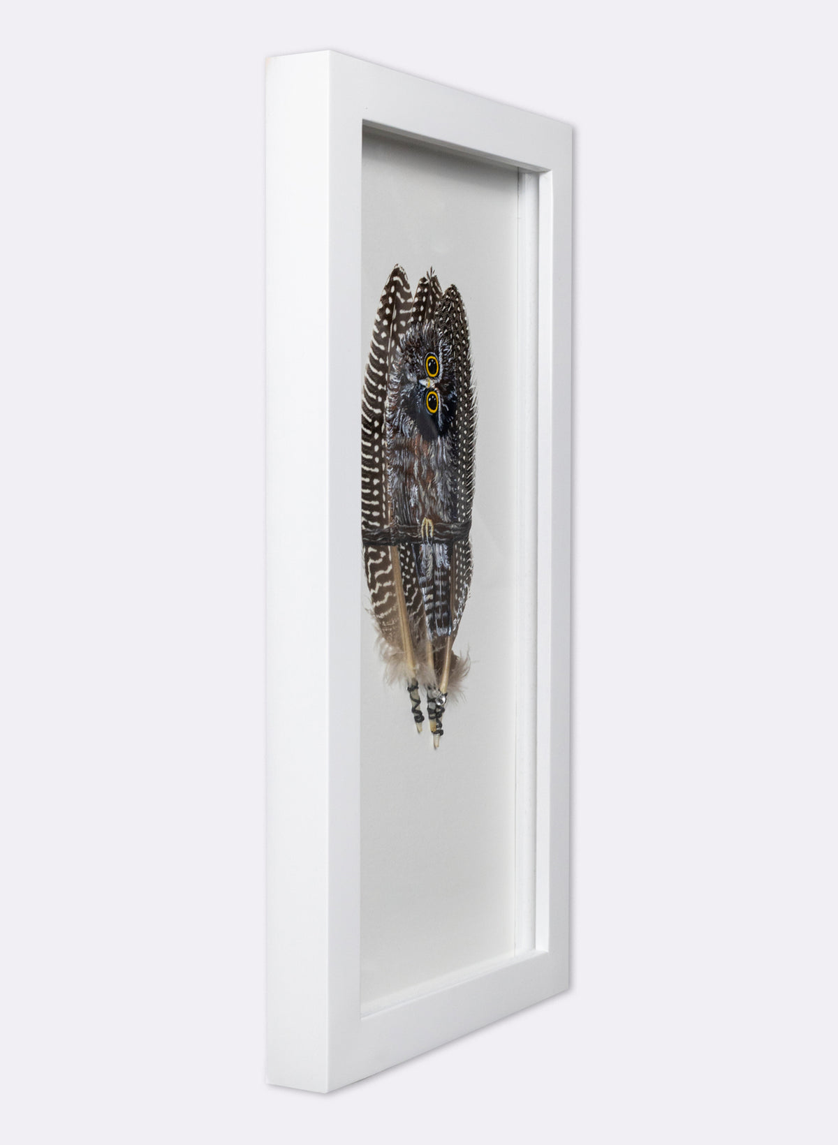 Qwizzick Morepork - Framed