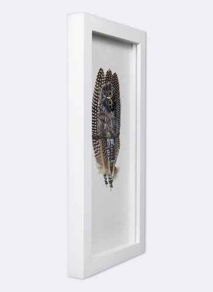 Qwizzick Morepork - Framed