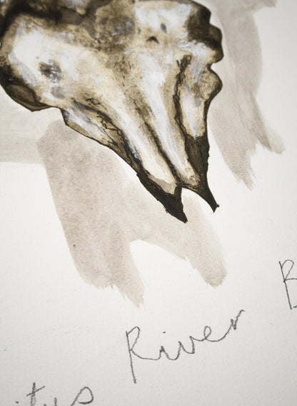 Ambitus River Bones