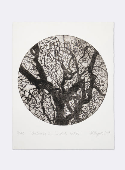 Antrorse 2 - Twisted Willow