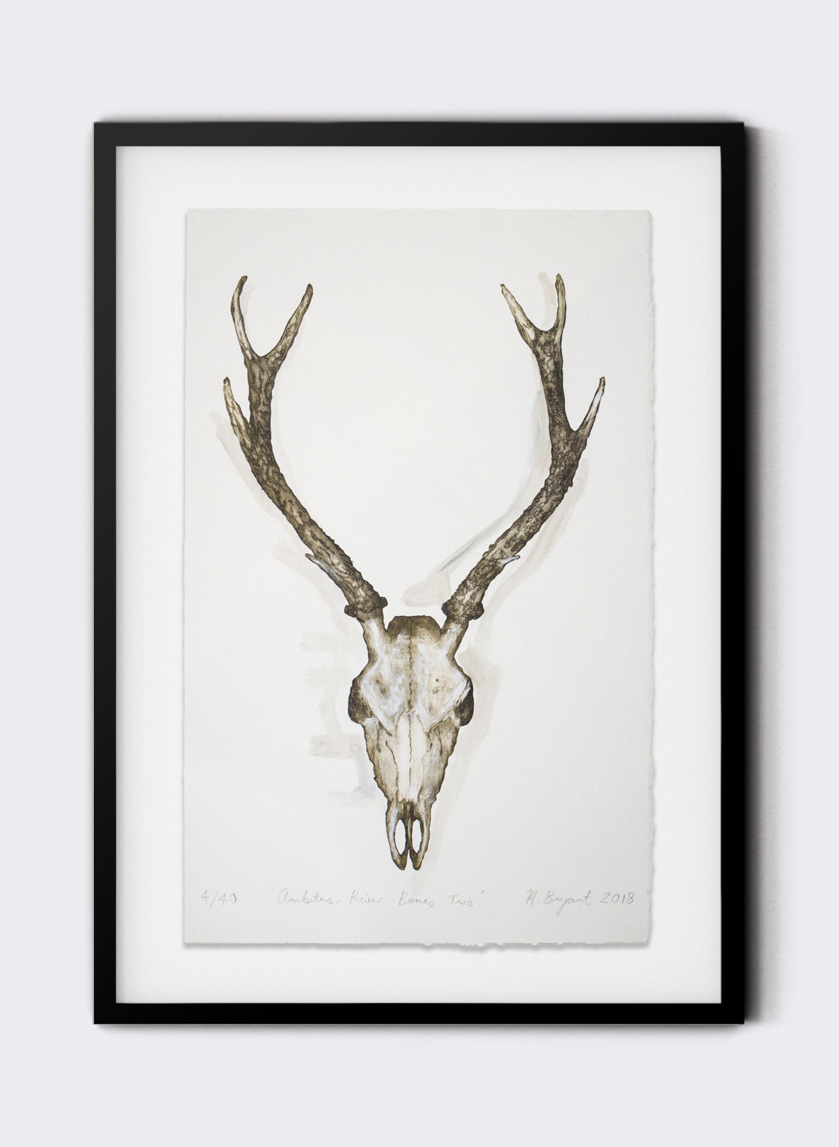 Ambitus River Bones