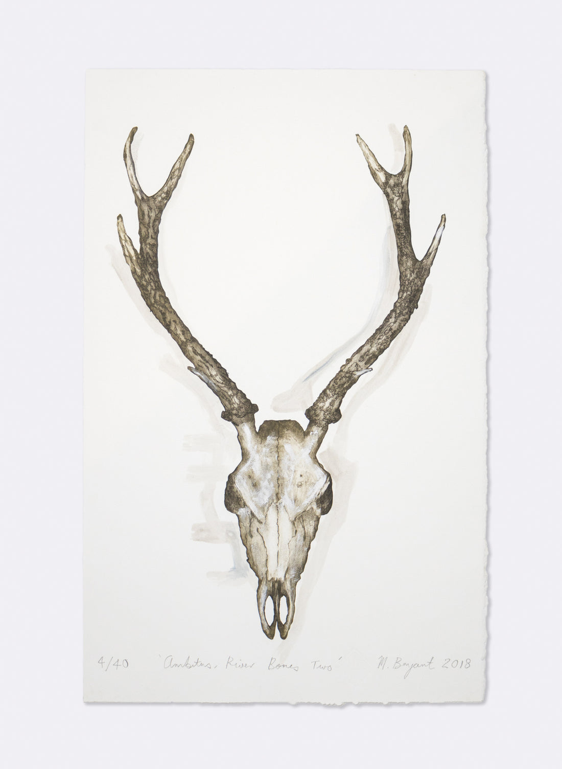 Ambitus River Bones