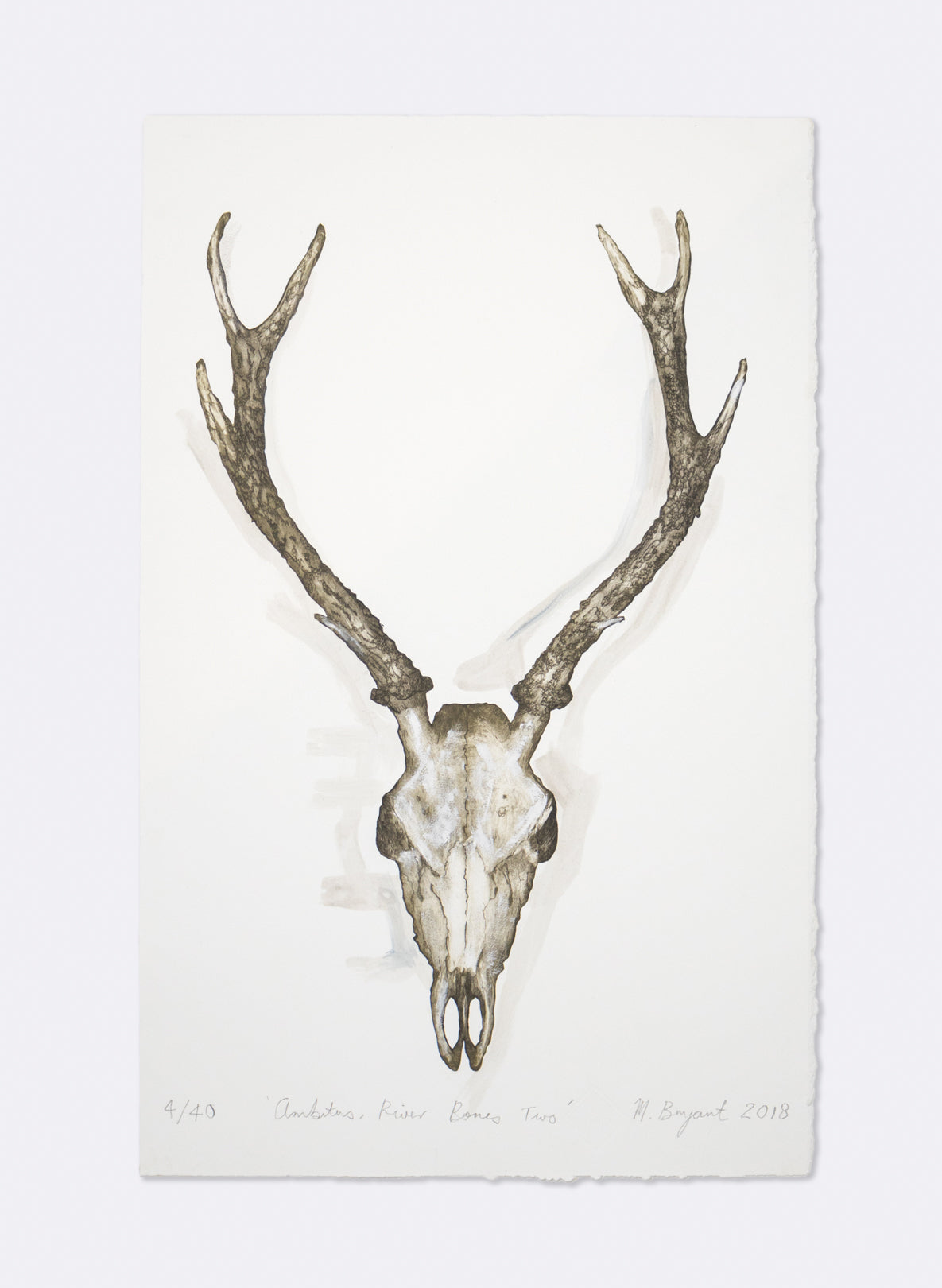 Ambitus River Bones