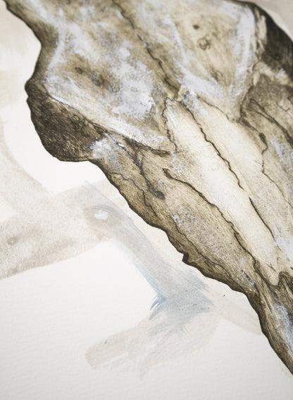 Ambitus River Bones