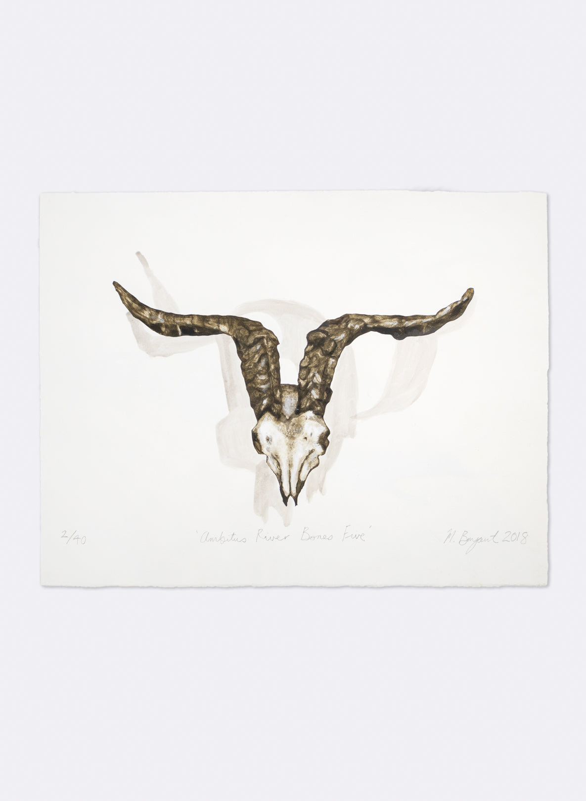 Ambitus River Bones