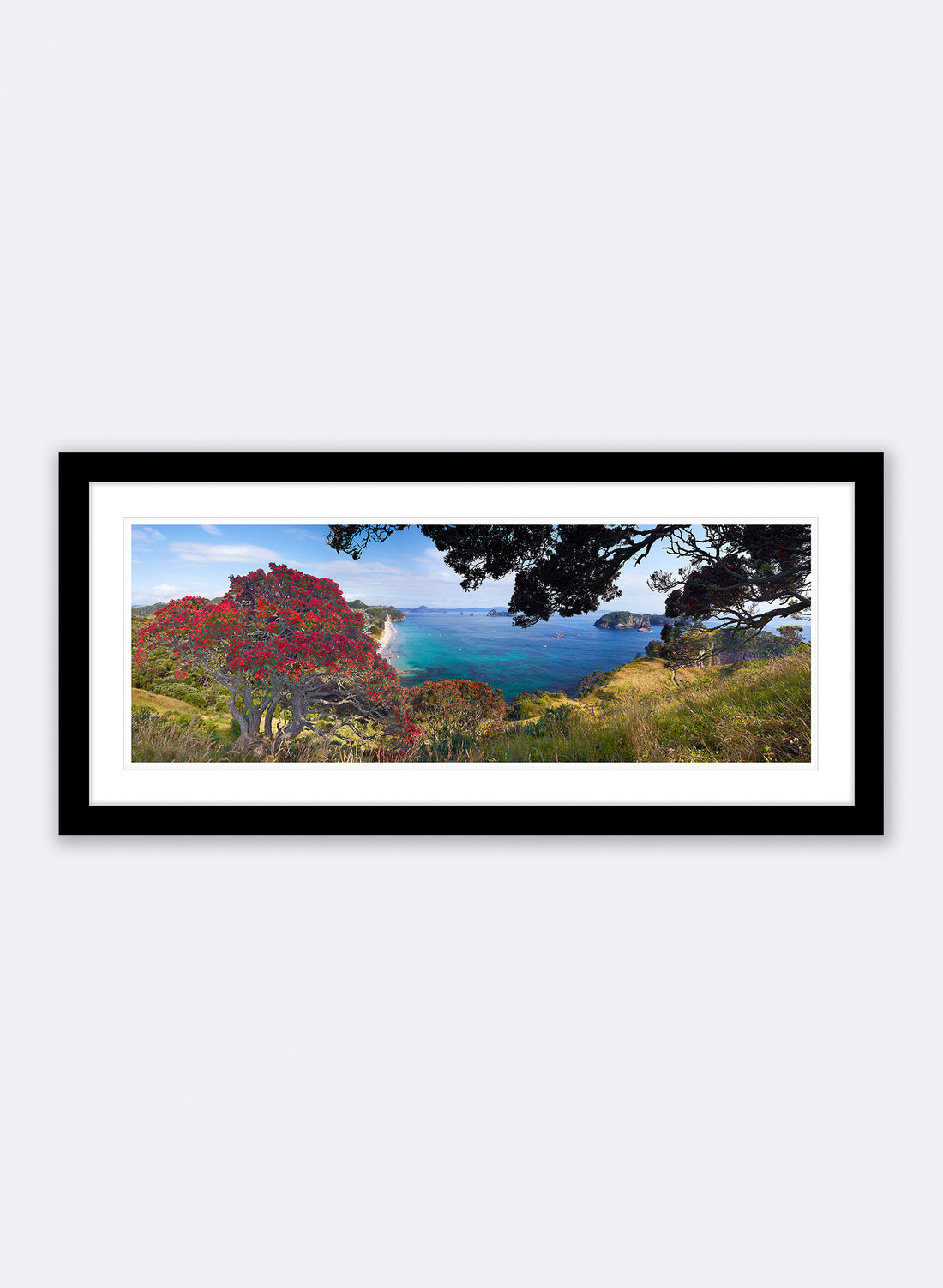 Blazing Beauty - Photographic Print