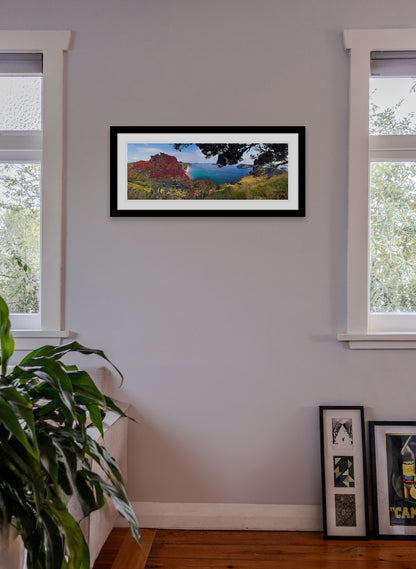 Blazing Beauty - Photographic Print