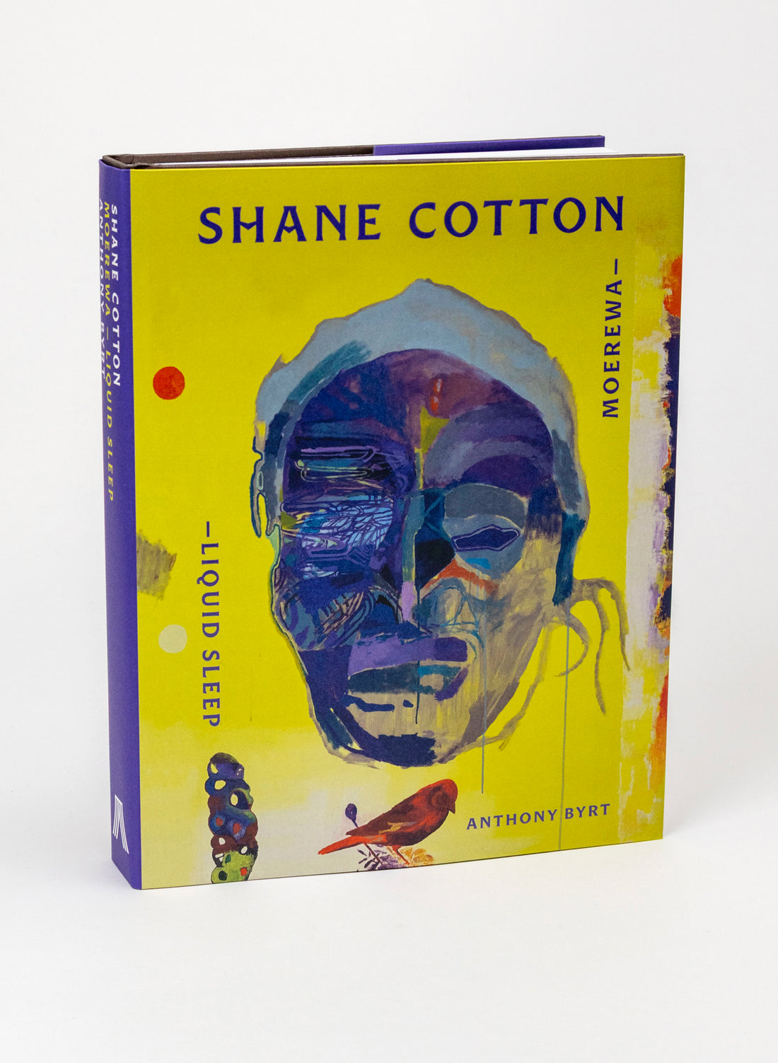 Shane Cotton - Liquid Sleep