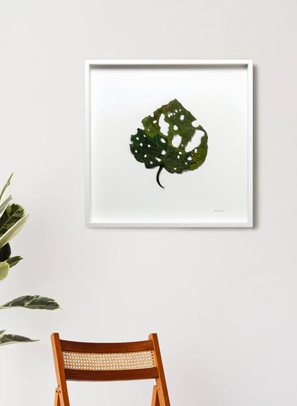 Giant Kawakawa Leaf  - 3D Embroidery