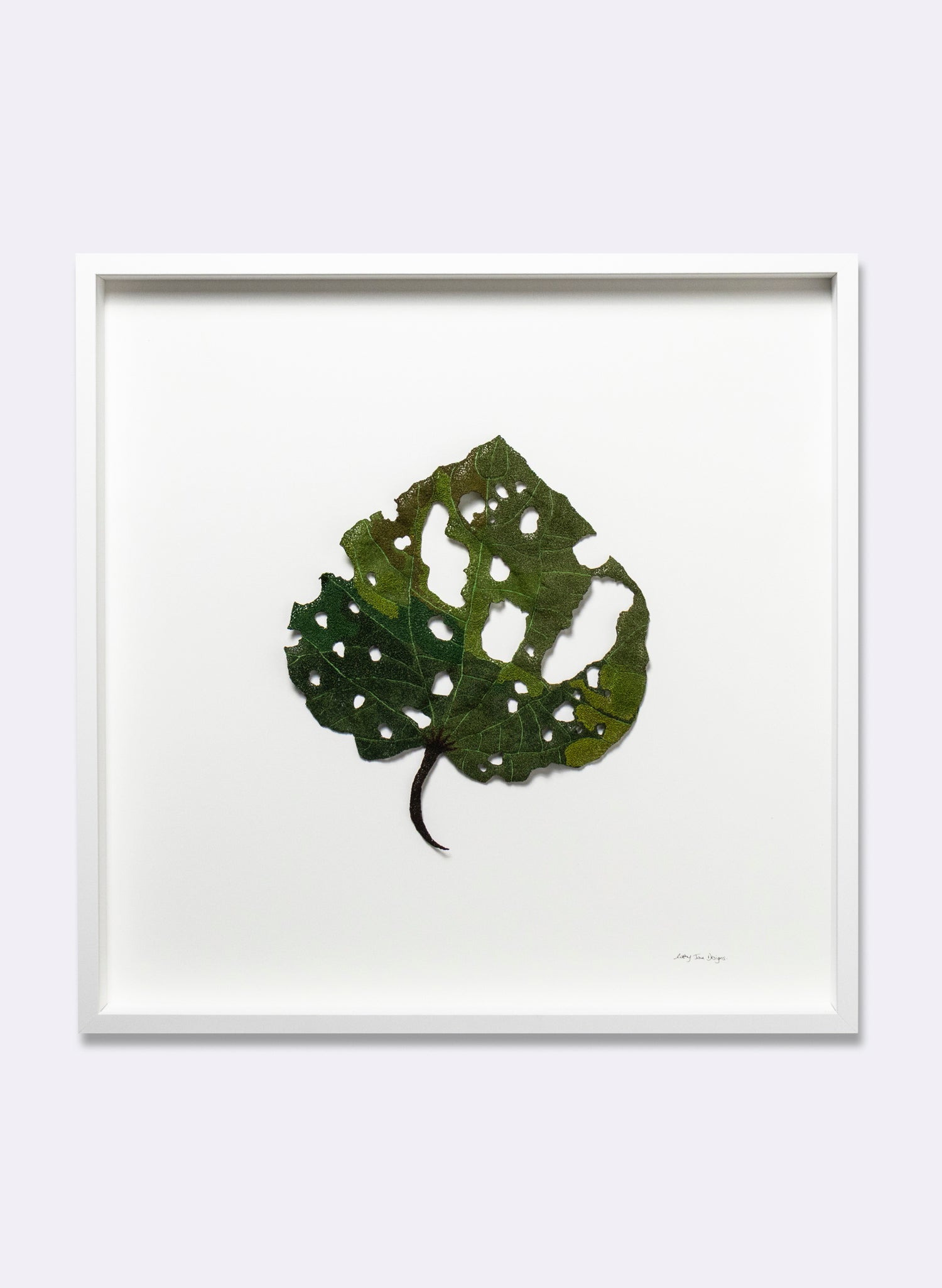 Giant Kawakawa Leaf  - 3D Embroidery
