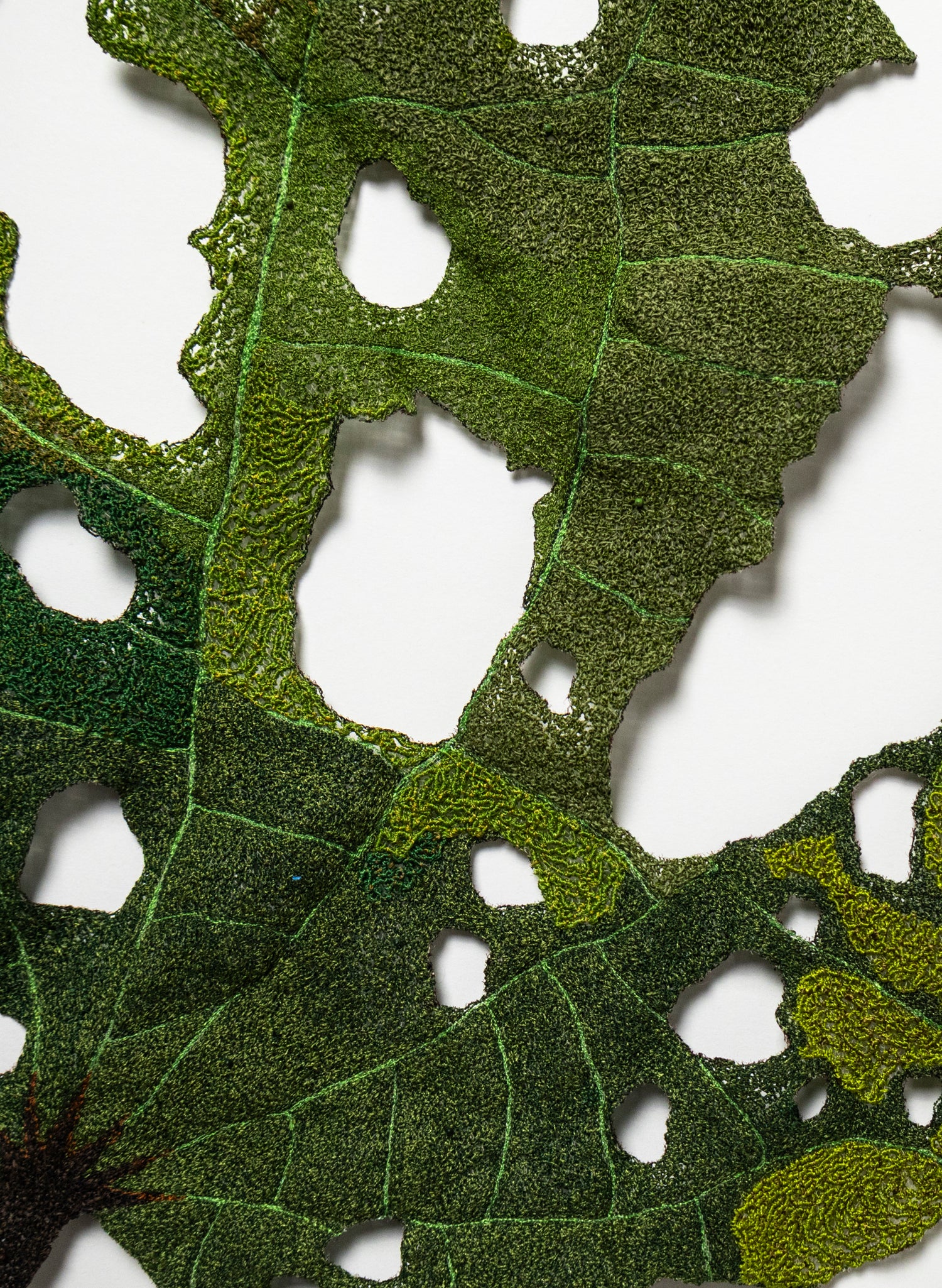 Giant Kawakawa Leaf  - 3D Embroidery