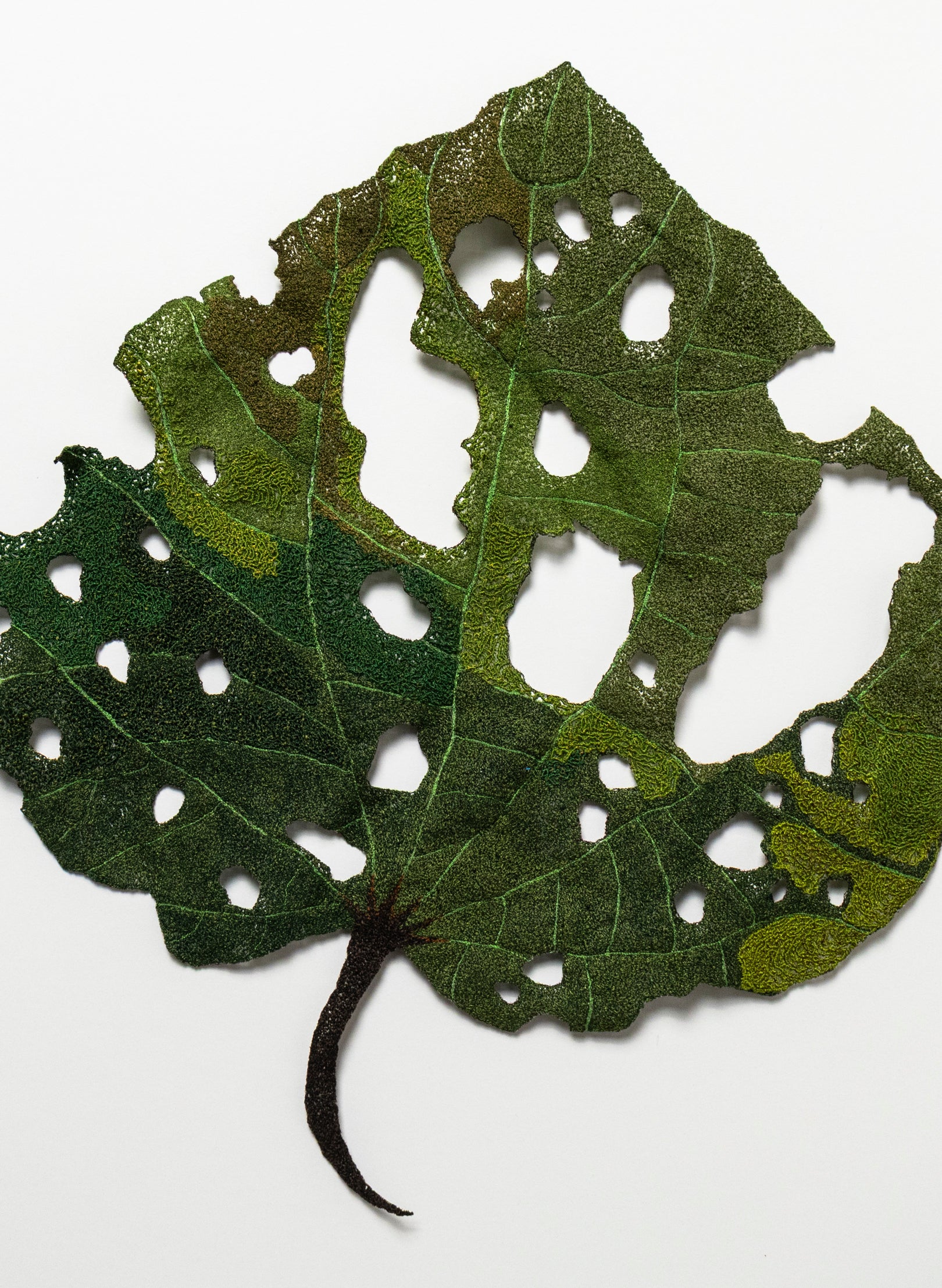 Giant Kawakawa Leaf  - 3D Embroidery