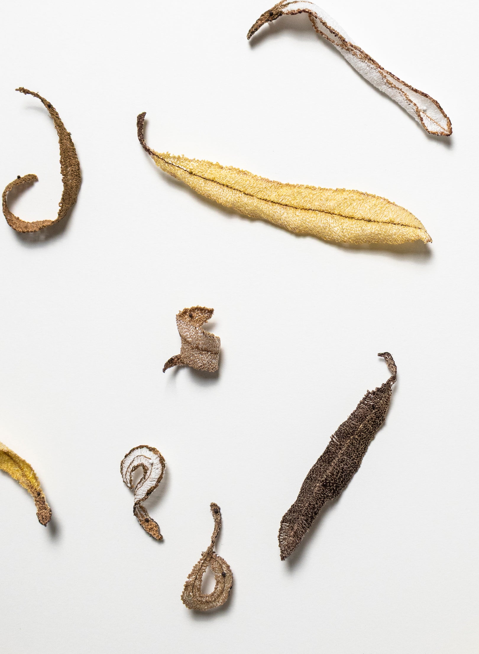 Banksia Leaf Formation - 3D Embroidery