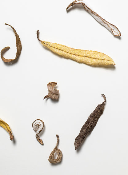 Banksia Leaf Formation - 3D Embroidery