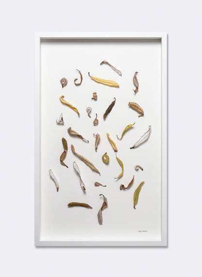 Banksia Leaf Formation - 3D Embroidery