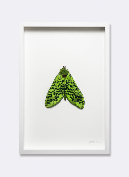 Pūriri Moth Sculptural Embroidery