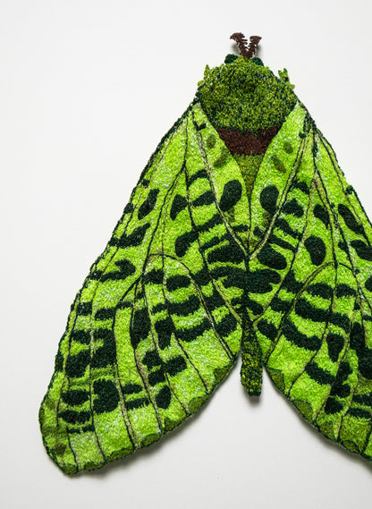Pūriri Moth Sculptural Embroidery