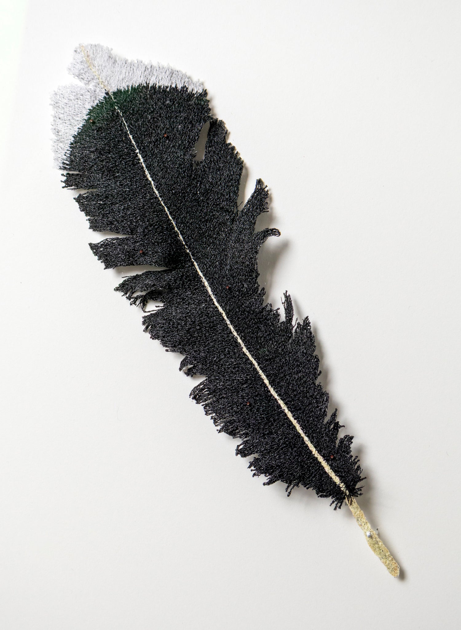 Huia Feather  - 3D Embroidery