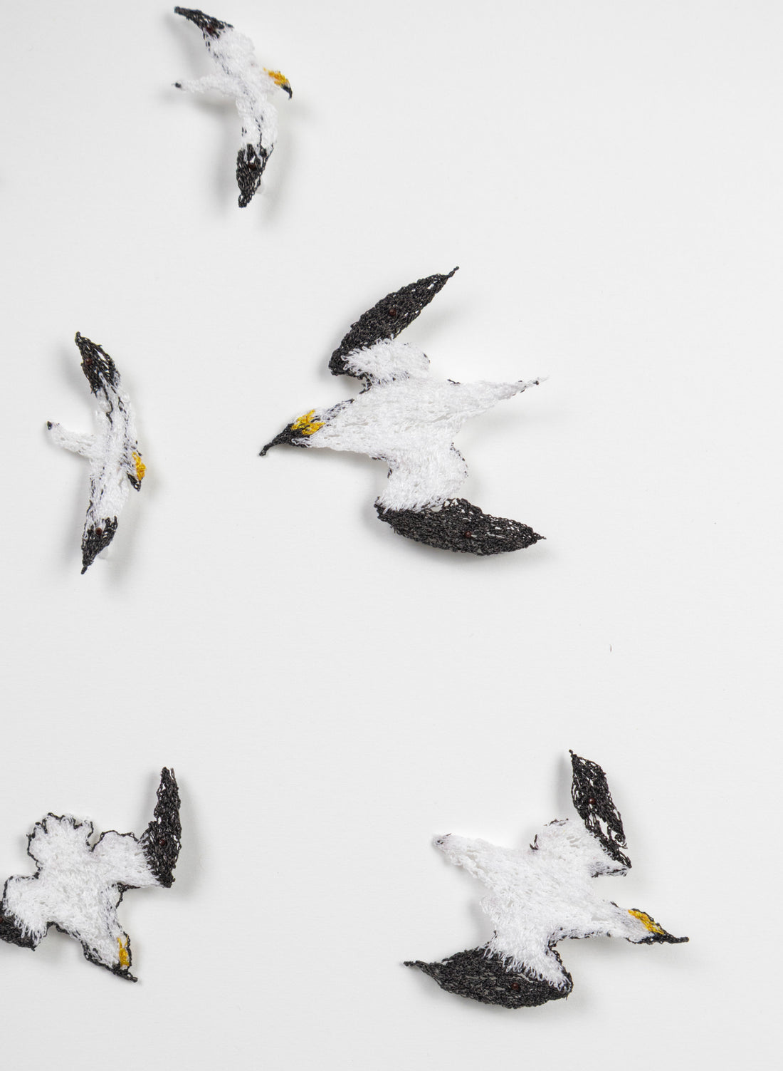 Insatiable Gannets - 3D Embroidery