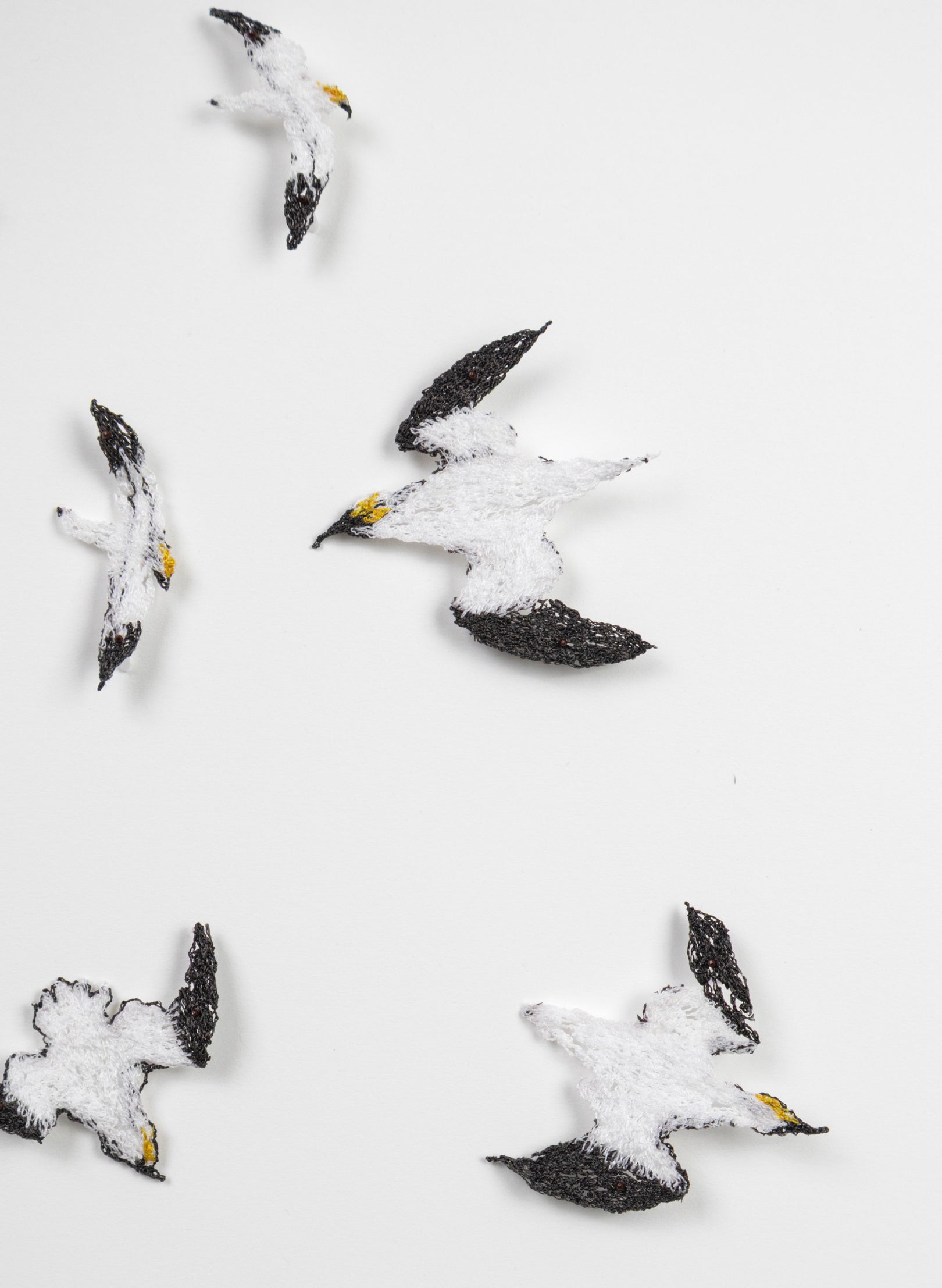 Insatiable Gannets - 3D Embroidery