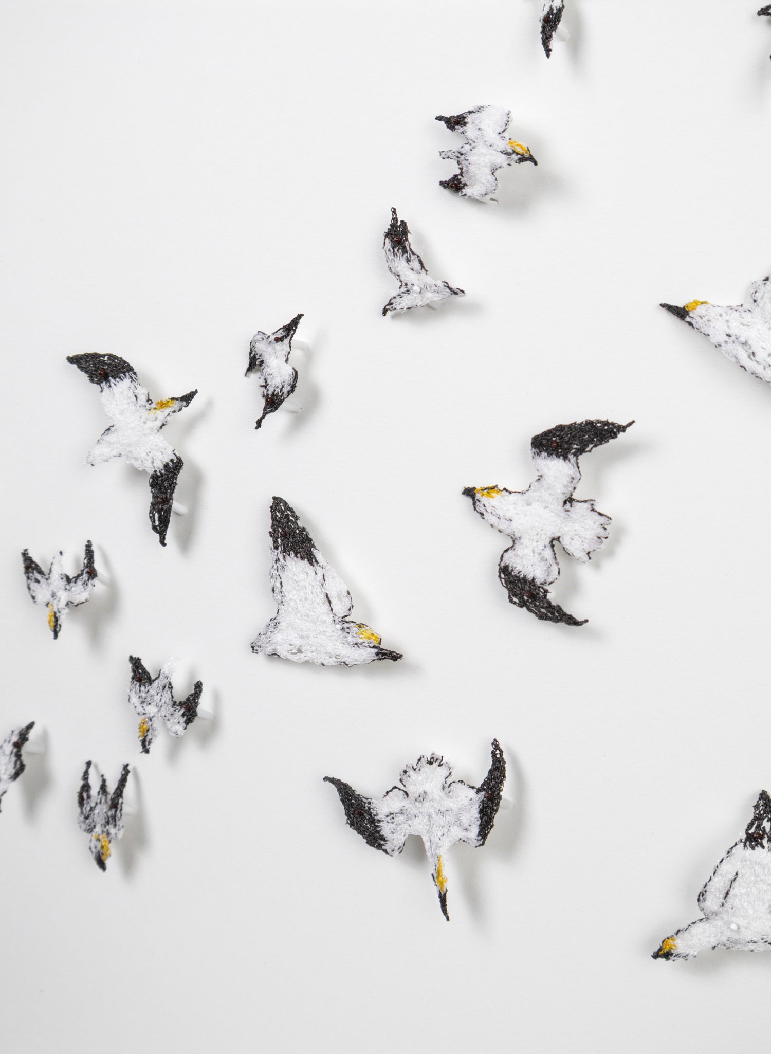 Insatiable Gannets - 3D Embroidery