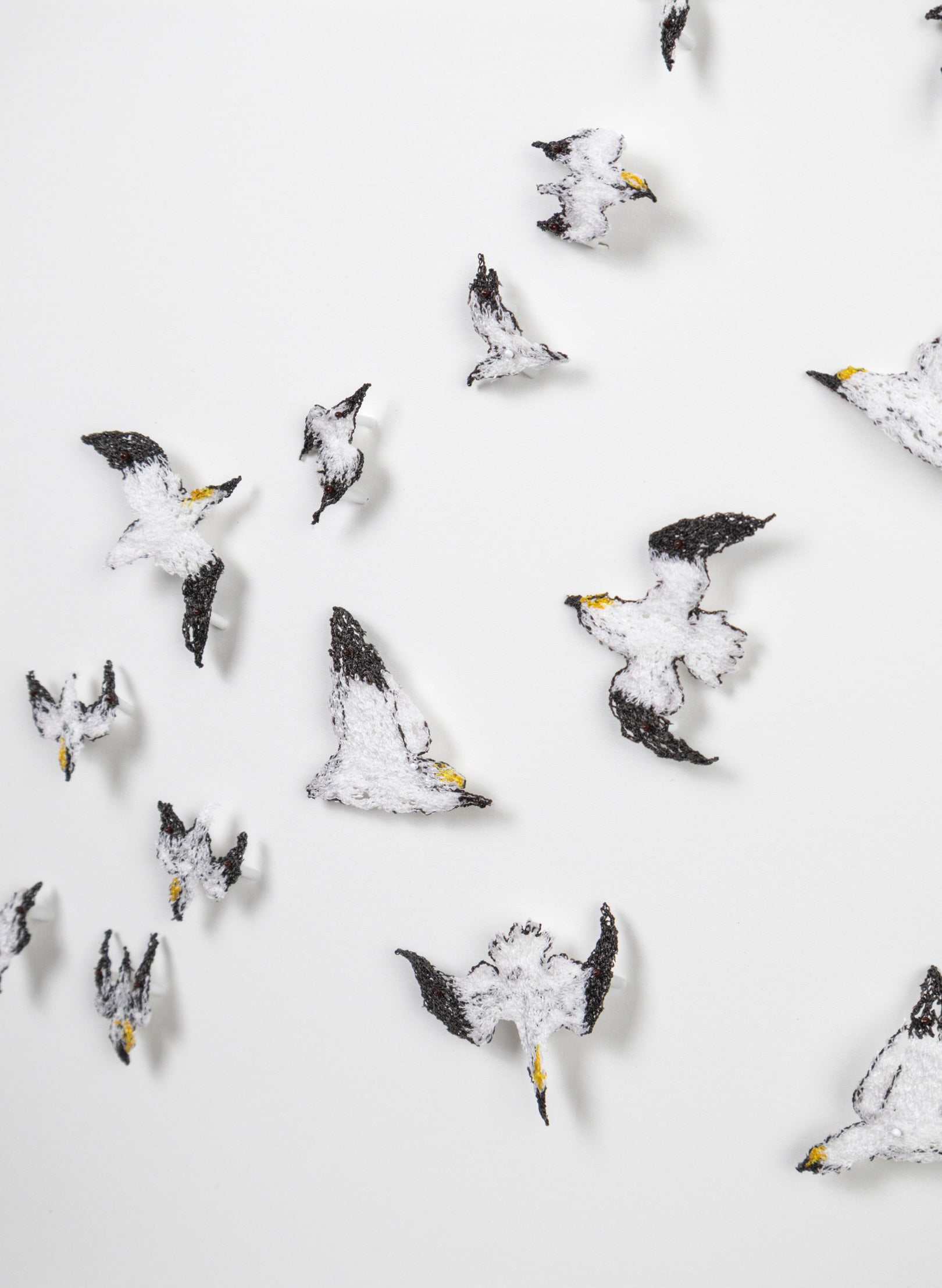 Insatiable Gannets - 3D Embroidery