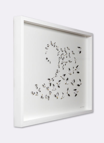 Insatiable Gannets - 3D Embroidery