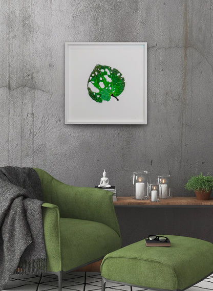 Giant Kawakawa Leaf  - 3D Embroidery