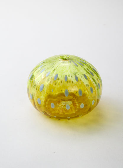 Sea Urchin - Pineapple Honey