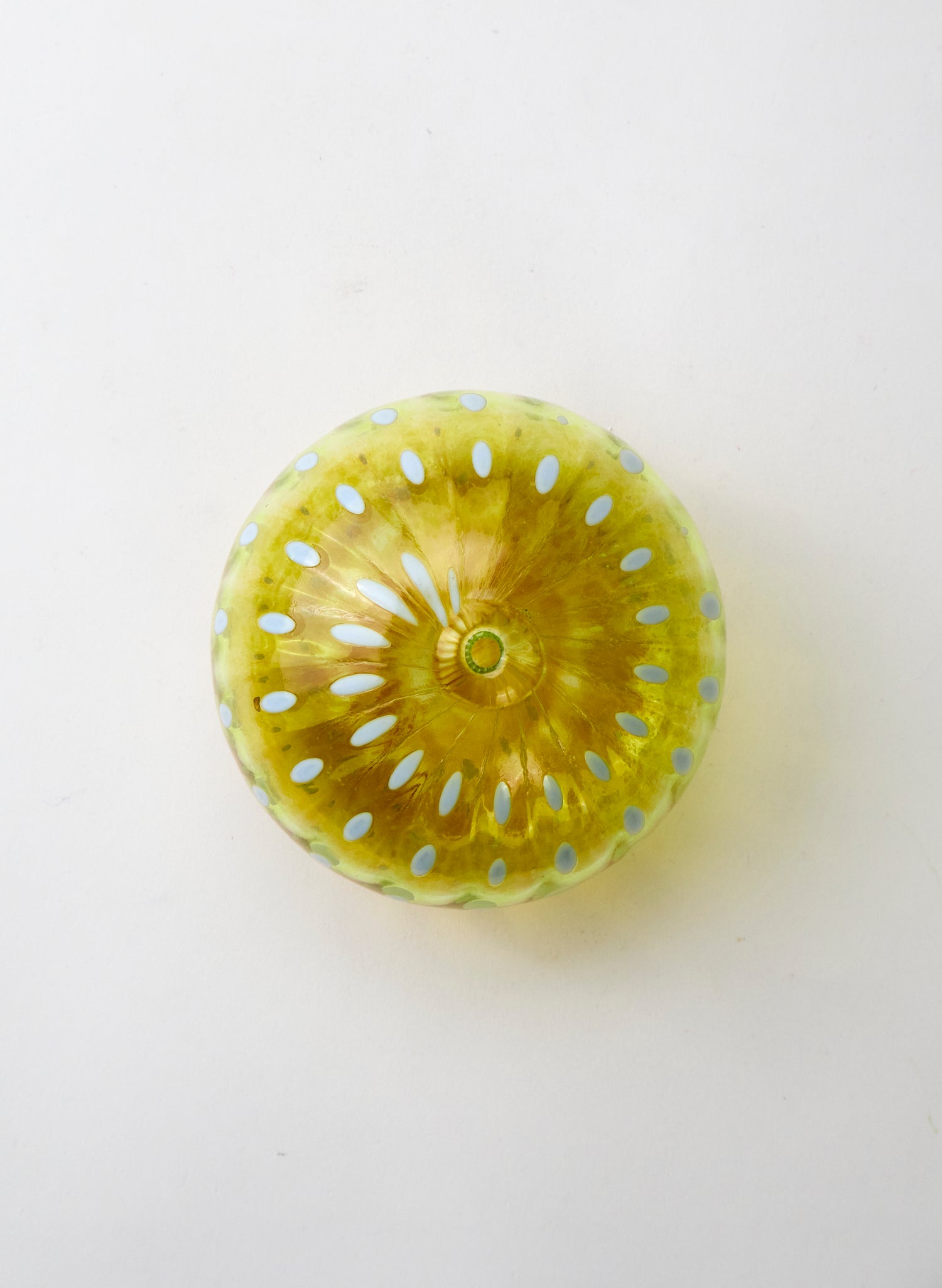 Sea Urchin - Pineapple Honey