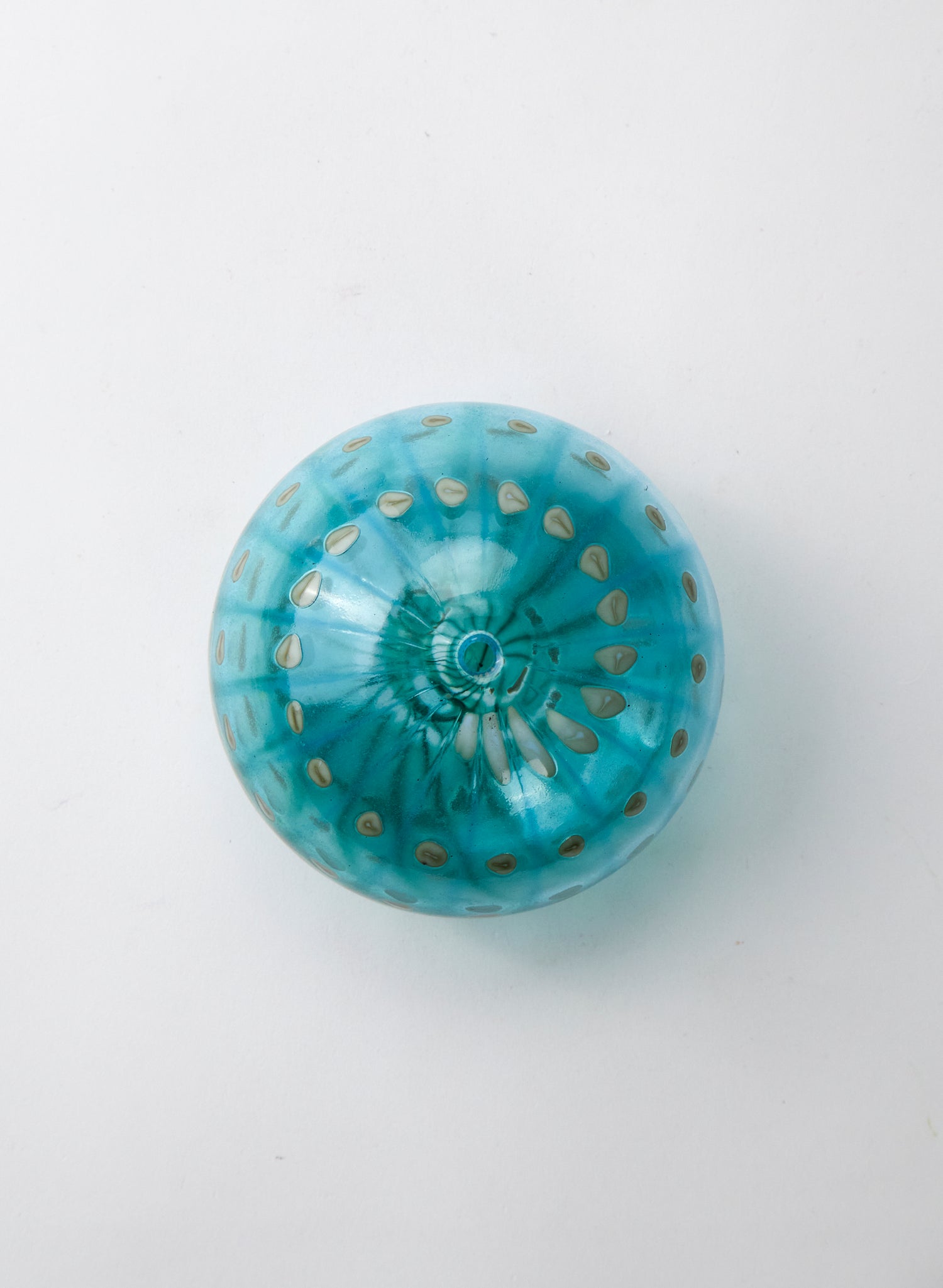 Sea Urchin - Aqua Powder