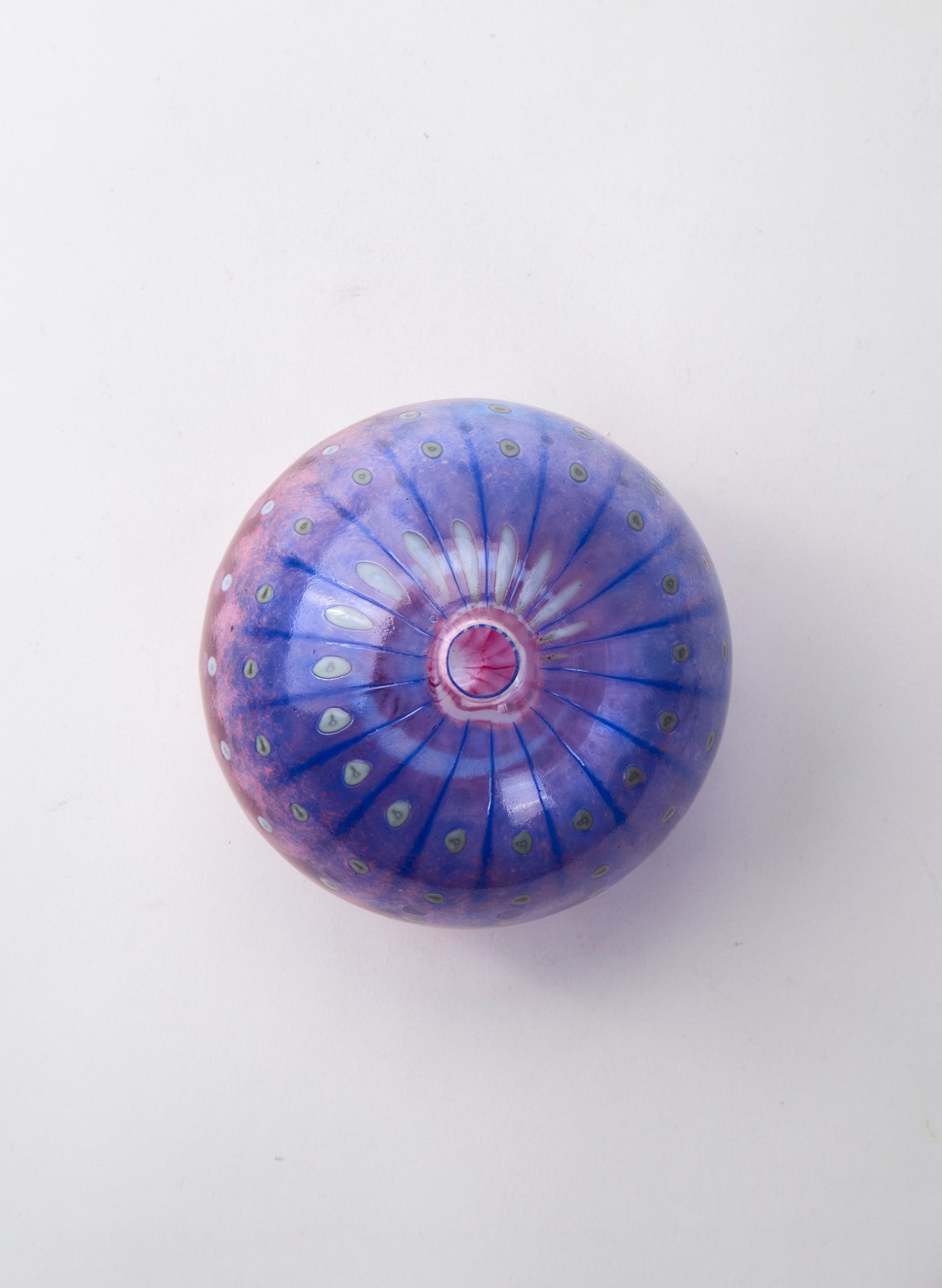 Sea Urchin - Indigo Sunset