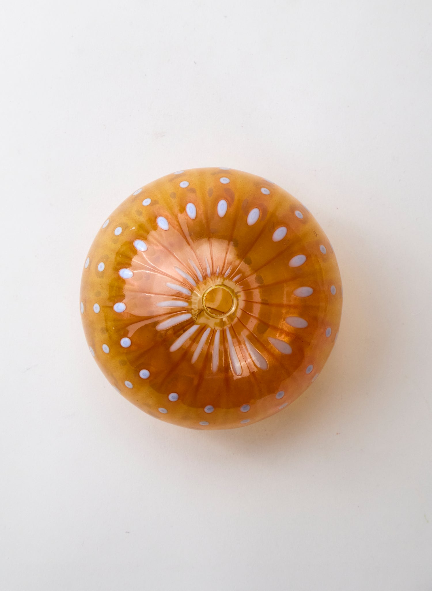 Sea Urchin - Tangerine