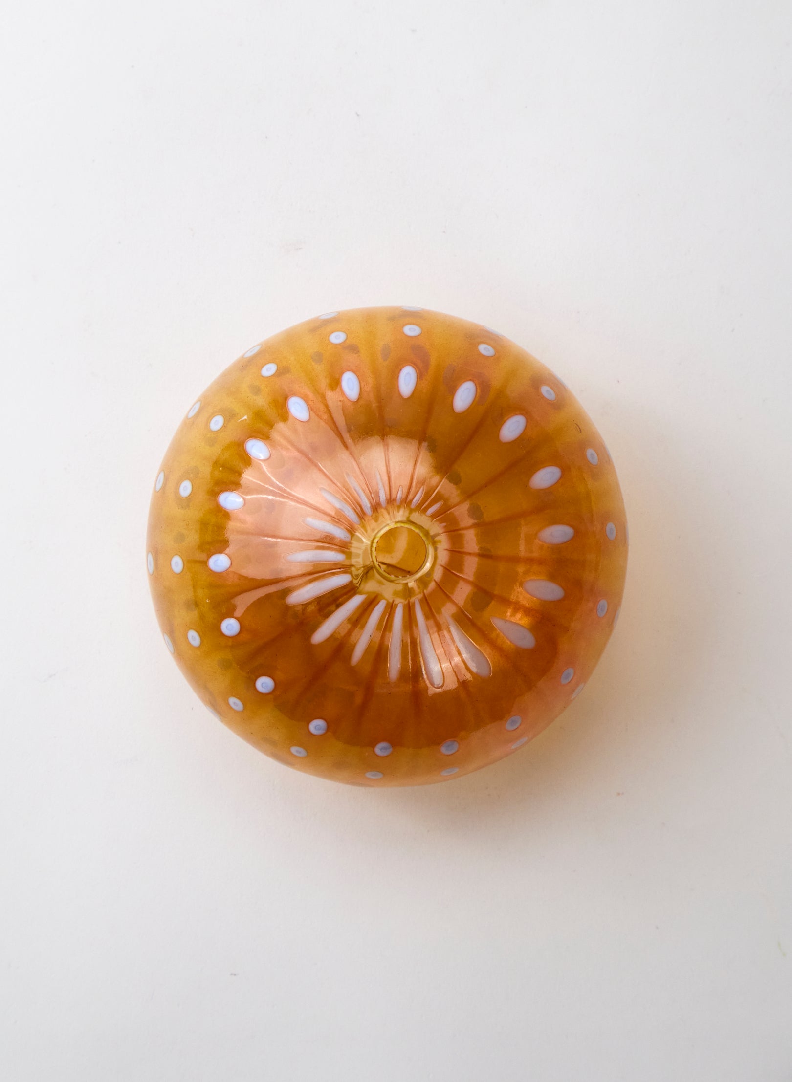 Sea Urchin - Tangerine