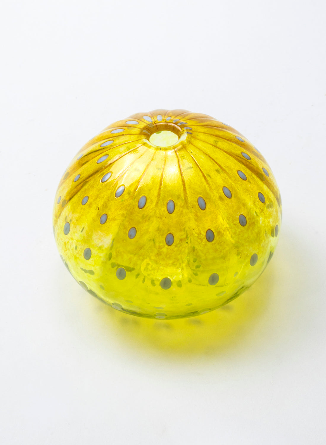 Sea Urchin - Green &amp; Gold