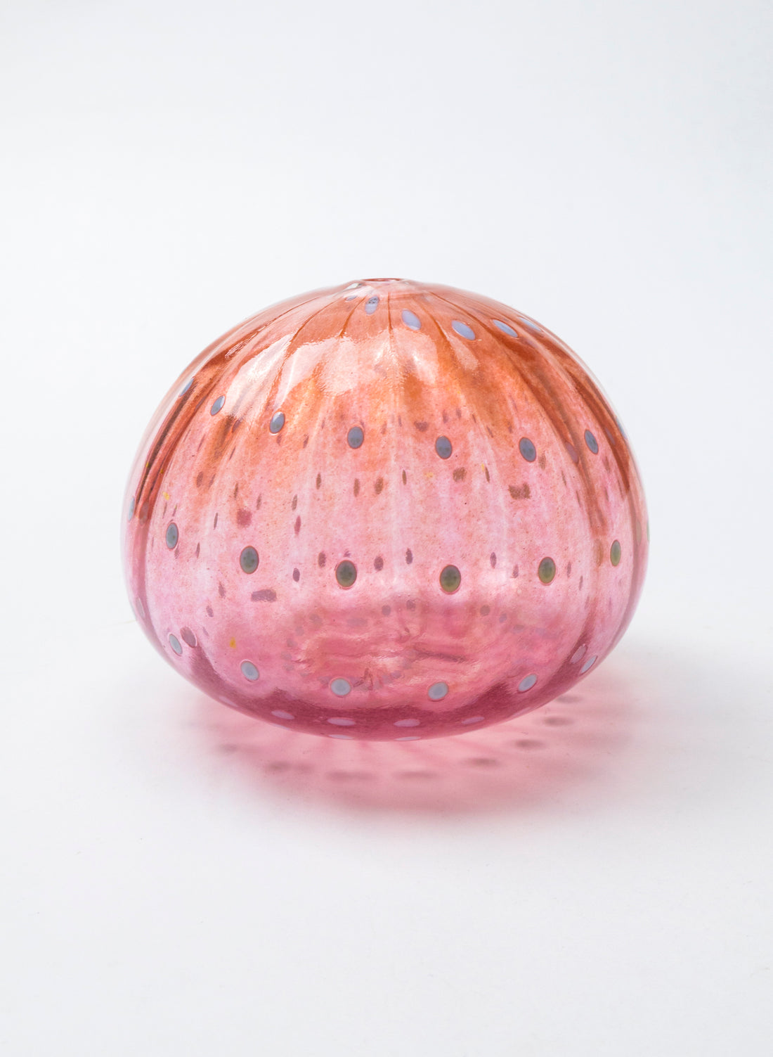 Sea Urchin - Pink &amp; Red