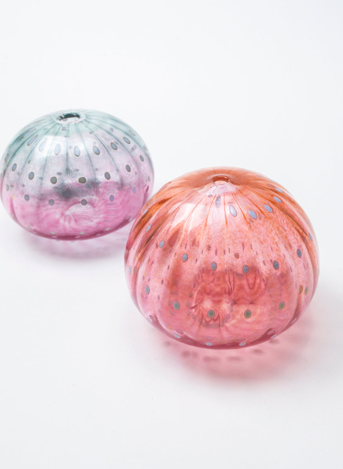 Sea Urchin - Pink &amp; Red