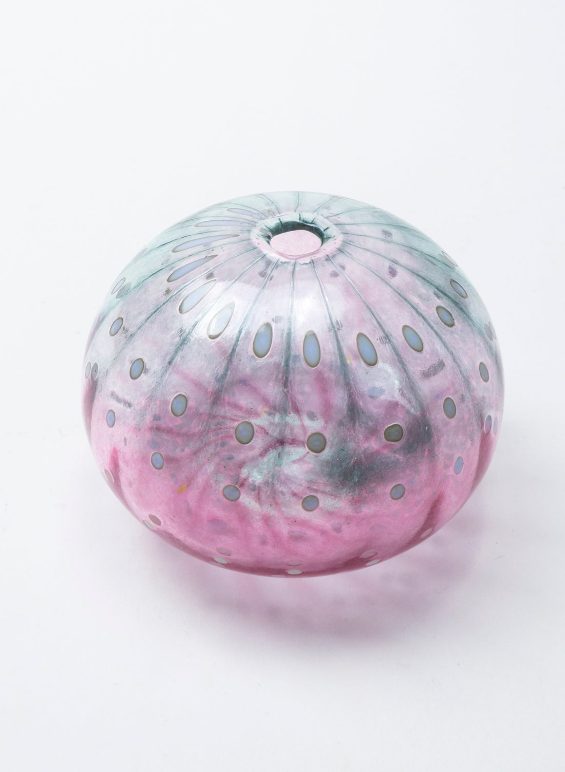 Sea Urchin - Blue &amp; Pink