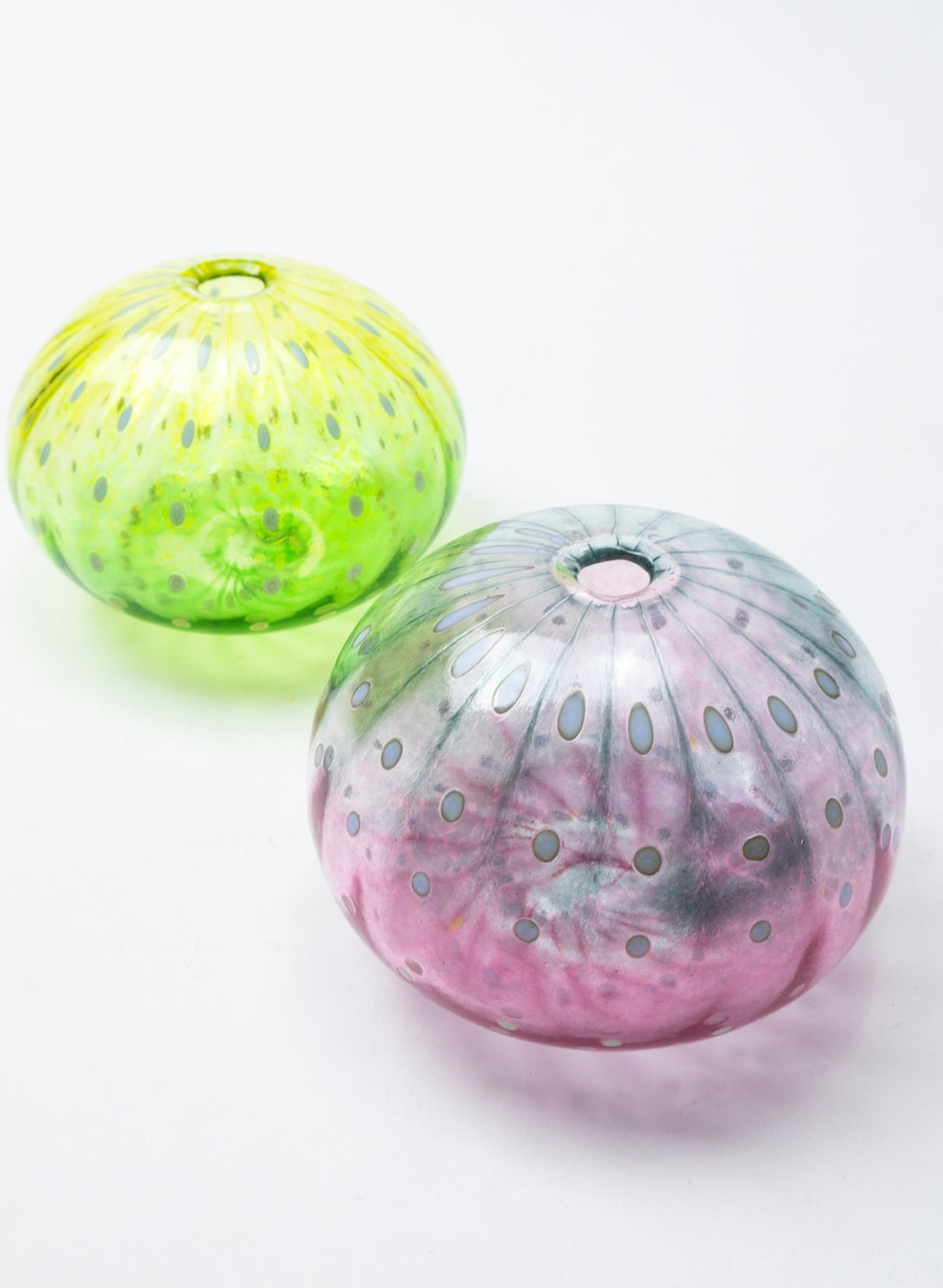 Sea Urchin - Blue &amp; Pink